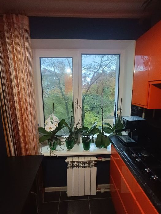 Квартира на вул. Європейська, 17 в Павлограді, ID 292975, фото №12