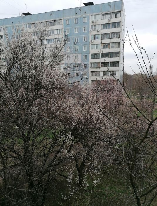 Квартира на вул. Хортицкое шоссе, 32а в Запоріжжі, ID 266053, фото №23