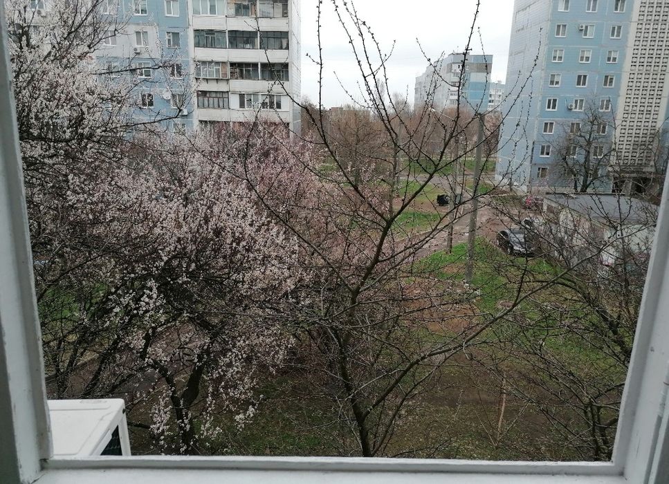Квартира на вул. Хортицкое шоссе, 32а в Запоріжжі, ID 266053, фото №24