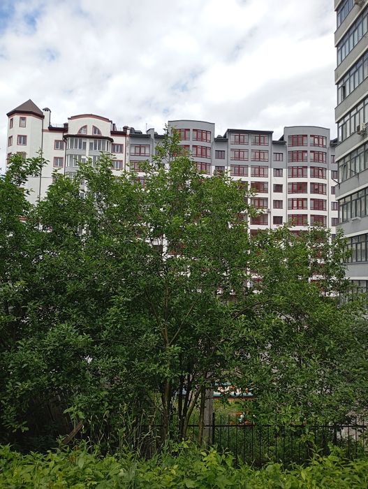 Квартира на вул. Галицька в Івано-Франківську, ID 360765, фото №2