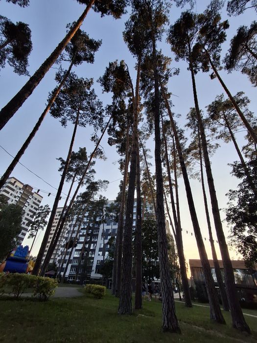 Квартира на вул. Університетська в Києві, ID 271572, фото №17
