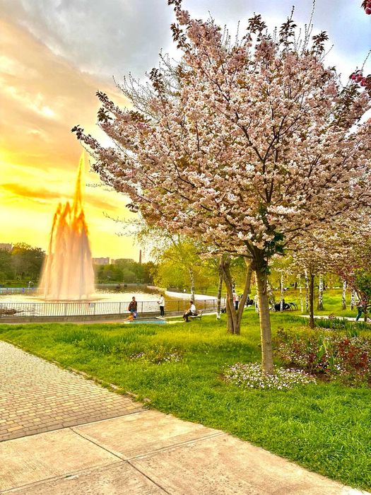 Квартира на вул. Зоопаркова в Одесі, ID 355855, фото №6