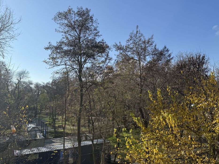 Квартира на ЖК «Лидерсовский» в Одесі, ID 205573, фото №2