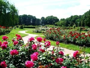 Квартира на вул. Звіринецька, 70А в Києві, ID 277794, фото №23