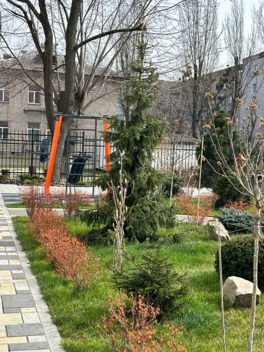 Квартира на вул. Краківська, 4-Б в Києві, ID 271607, фото №11