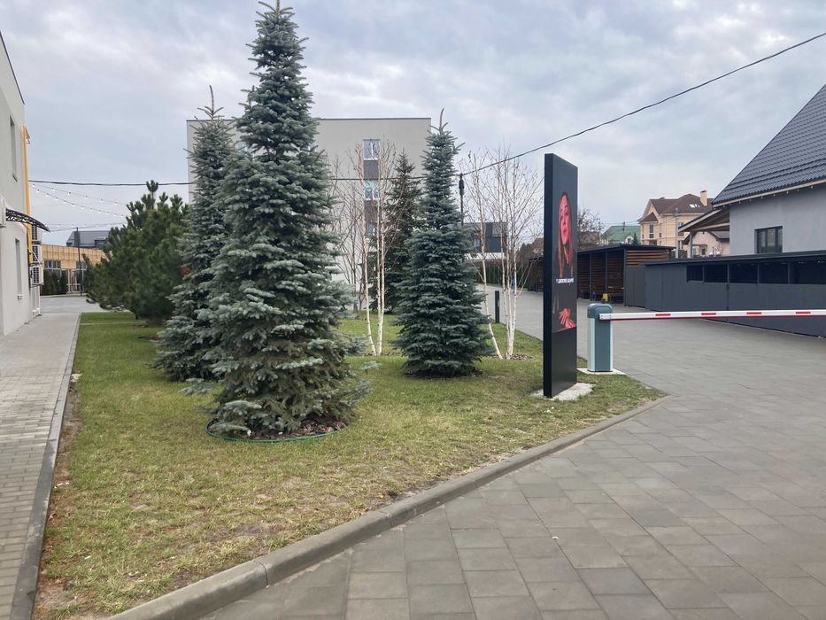 Квартира в Києві, ID 308853, фото №8
