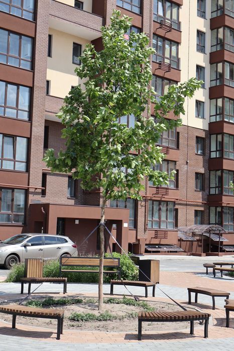 Квартира на ЖК Комфортний в Чернігові, ID 368668, фото №3