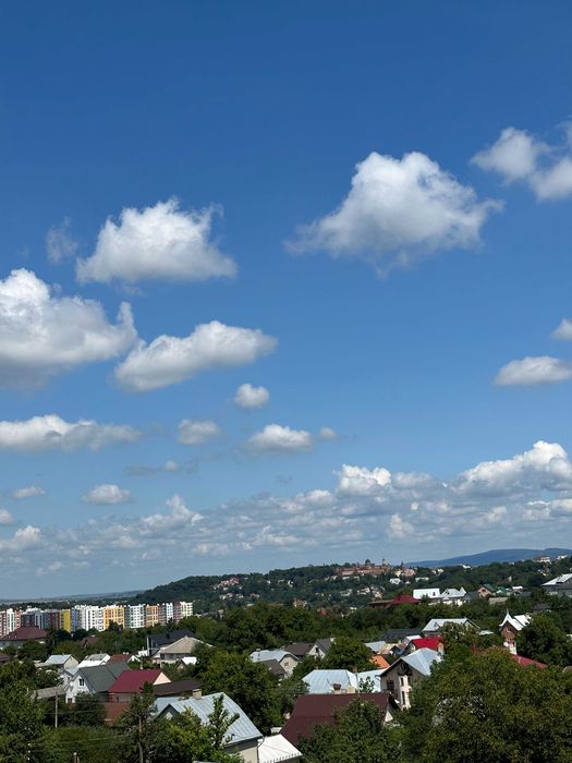 Квартира на вул. Сторожинецька, 70-А в Чернівцях, ID 262209, фото №10