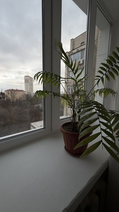 Квартира на вул. Радченко, 4 в Києві, ID 353176, фото №10