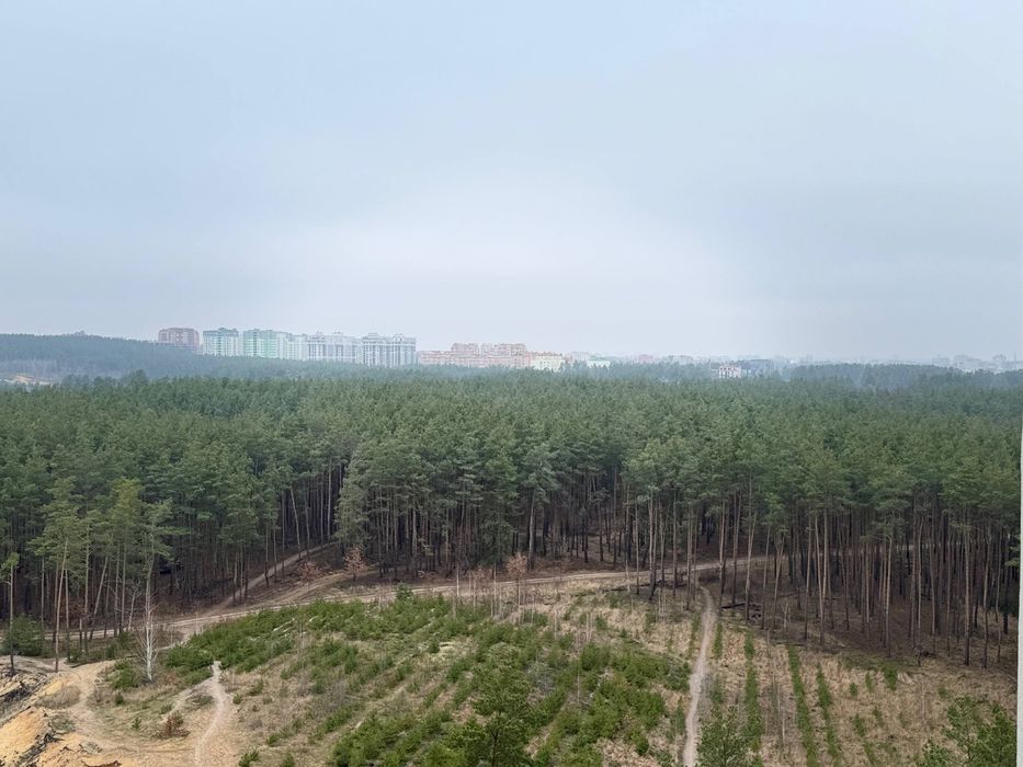 Квартира на Ірпінь в Києві, ID 242615, фото №3
