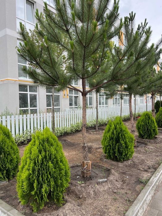 Квартира на ЖК Sanville Park в Києві, ID 309032, фото №3