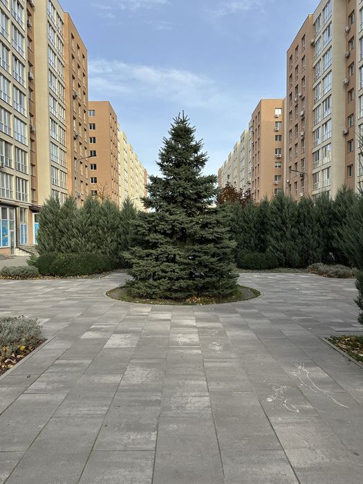 Квартира на вул. Героїв небесної сотні, 26/22 в Києві, ID 284047, фото №3