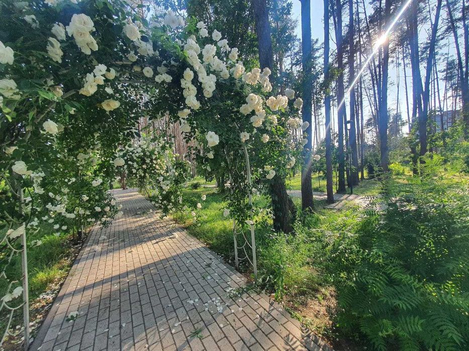 Квартира на ЖК Sobornyi в Києві, ID 305261, фото №15