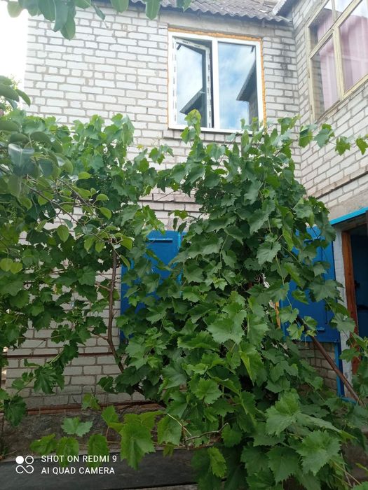 Будинок на Запорізька область, Запоріжжя, ID 422880, фото №2