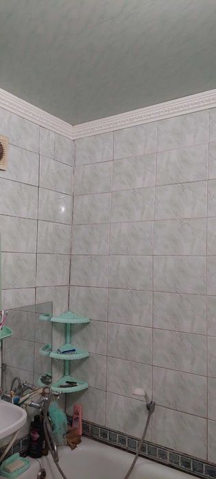 Квартира на вул. Франса в Кривому Розі, ID 205181, фото №12