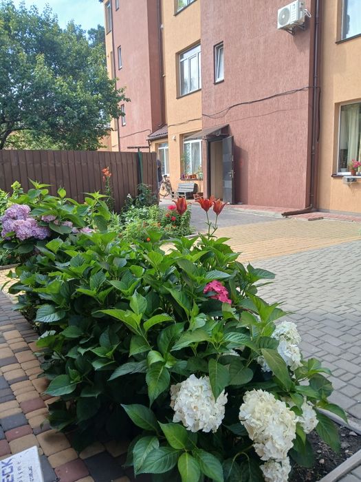 Квартира на біля Центрального парку в Києві, ID 235293, фото №21