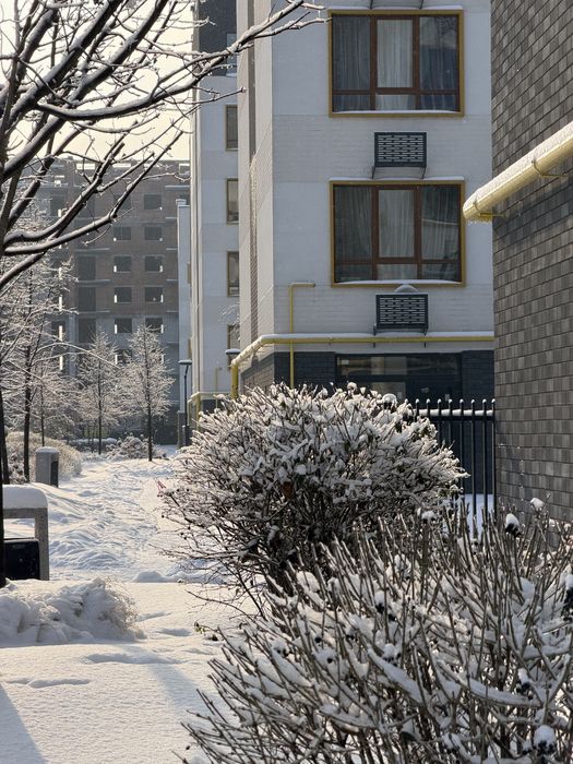 Квартира на ЖК Молодість в Києві, ID 248163, фото №3