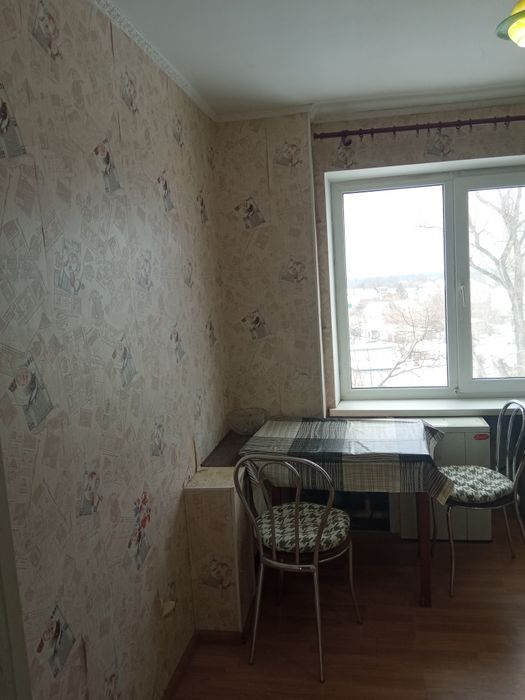 Квартира на смт Радушне в Кривому Розі, ID 253610, фото №3