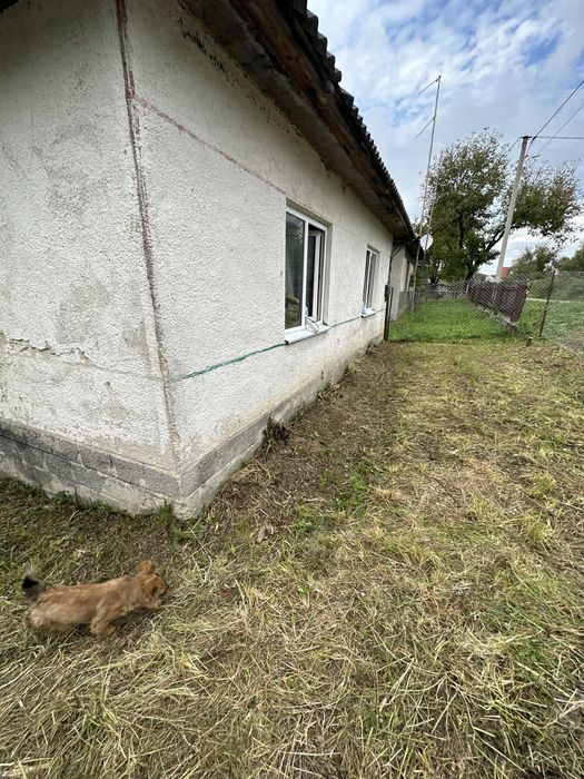Будинок на Закарпатська область, Тростяниця, ID 422728, фото №2