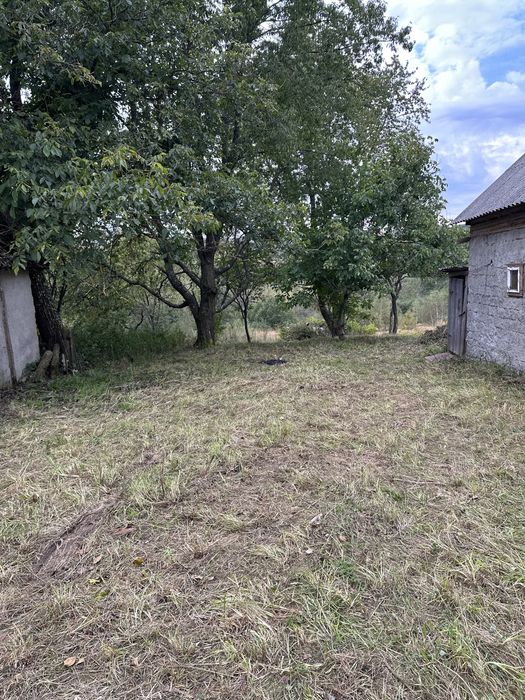 Будинок на Закарпатська область, Тростяниця, ID 422728, фото №3