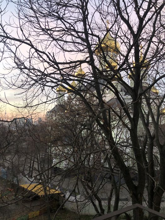 Квартира на пров. Бехтеревський, 13А в Києві, ID 326099, фото №22