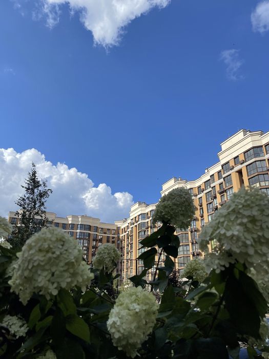 Квартира на ЖК Софія Нова в Києві, ID 312070, фото №8