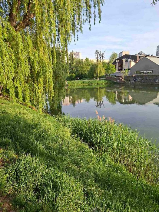 Квартира на вул. С. Рудницького, 19/14 в Києві, ID 295084, фото №23