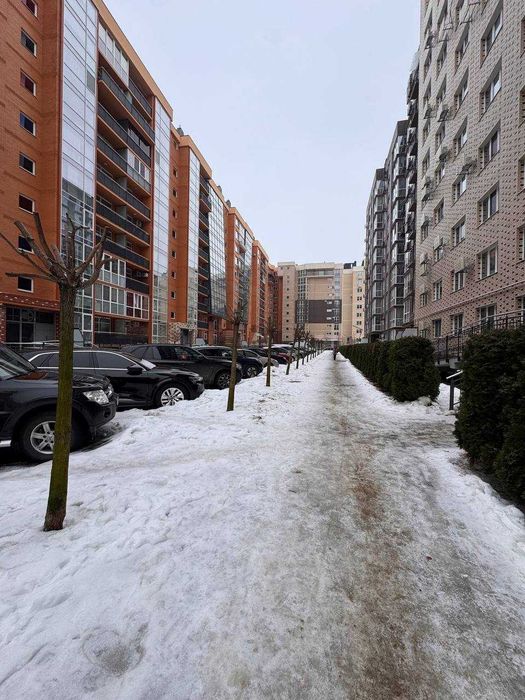 Квартира на вул. Воробкевича в Чернівцях, ID 242292, фото №2