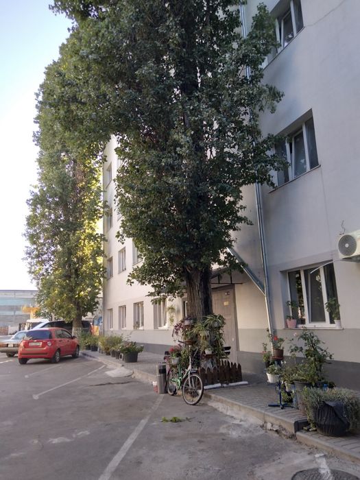 Квартира на вул. Бугаївська в Одесі, ID 274433, фото №10