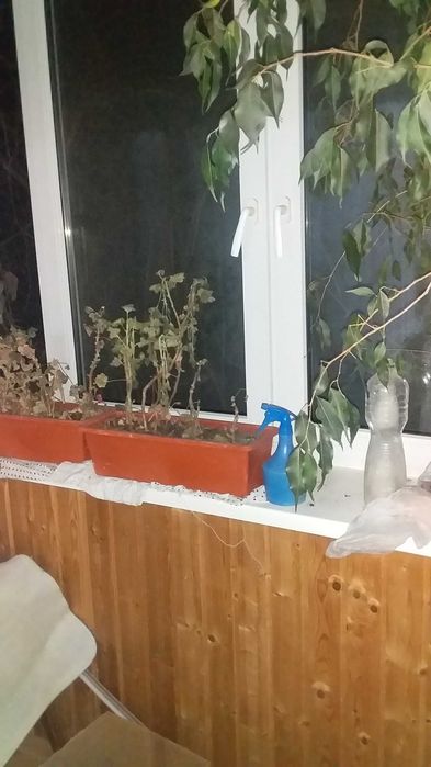 Квартира на вул. Лісовий проспект, 5 в Києві, ID 200286, фото №8