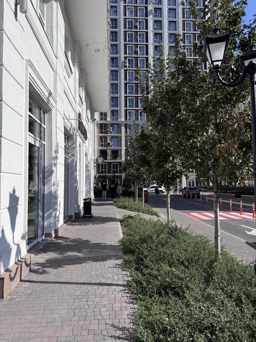 Квартира на вул. Михайла Максимовича, 24Г в Києві, ID 406602, фото №21