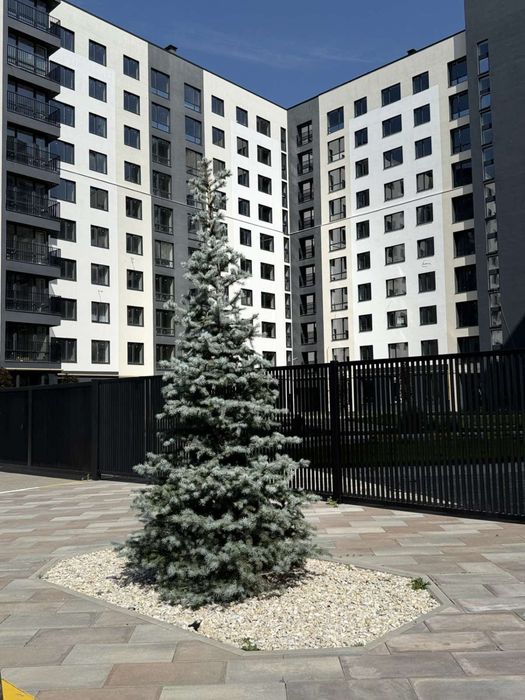 Квартира на ЖК Континент Рей в Києві, ID 294158, фото №3