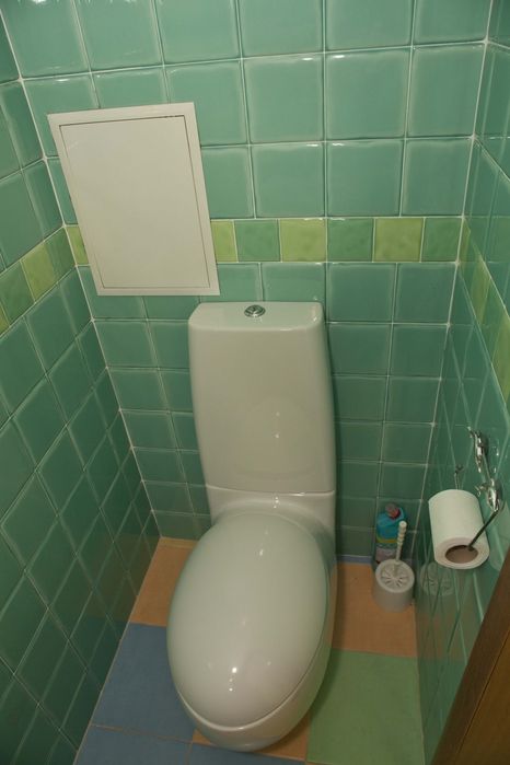 Квартира на вул. Раіси Окіпної, 10-А в Київ, ID 317731, фото №4