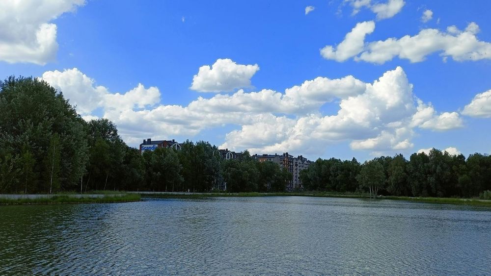 Квартира на жк.Скандія в Києві, ID 305417, фото №5