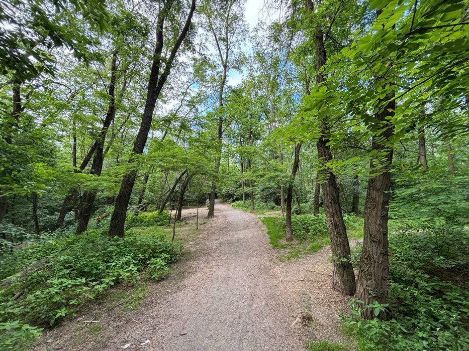 Квартира на вул. Шалімова в Києві, ID 235779, фото №24