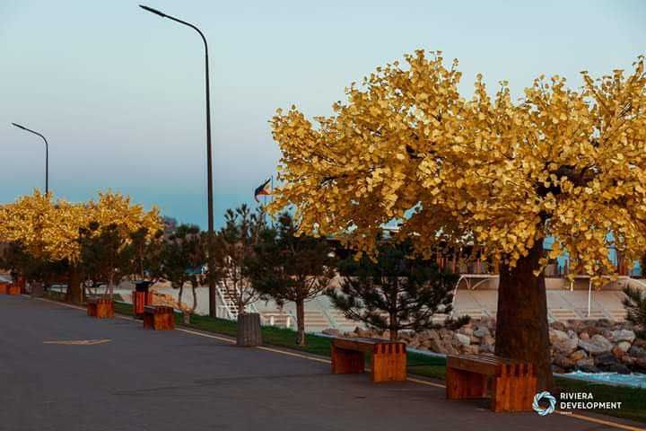 Квартира на Фонтанка в Одесі, ID 368938, фото №11