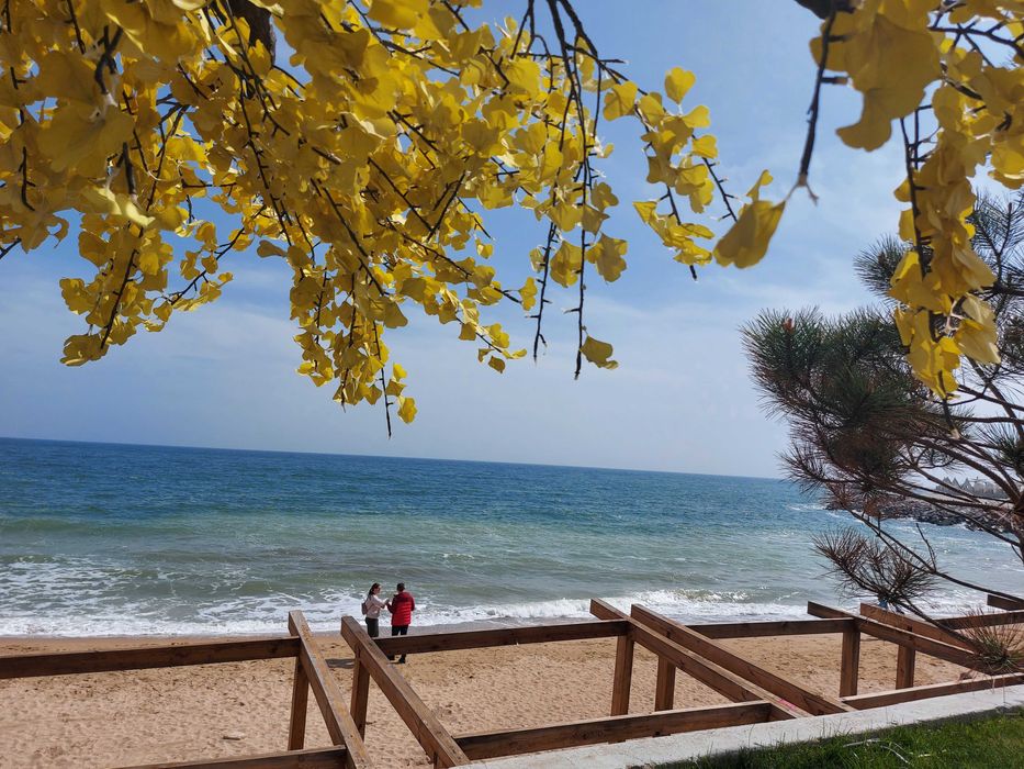 Квартира на Фонтанка в Одесі, ID 368938, фото №9