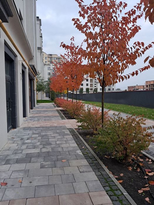 Квартира на вул. Західна в Києві, ID 311124, фото №2