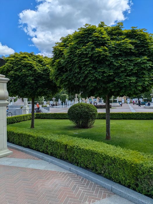 Квартира на біля Міської Адміністрації в Києві, ID 235246, фото №22