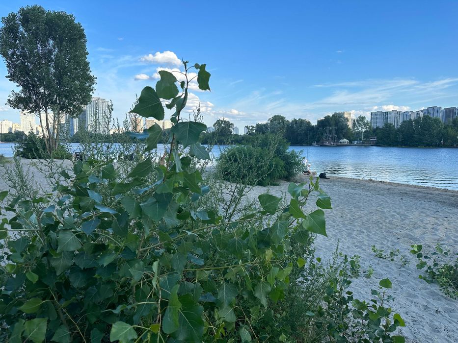 Квартира на вул. Дніпровська набережна, 17к в Києві, ID 235086, фото №18