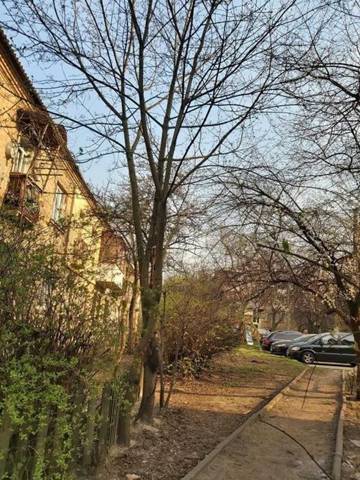 Квартира на вул. Глаголєвих Сім'ї, 5 в Києві, ID 205912, фото №9