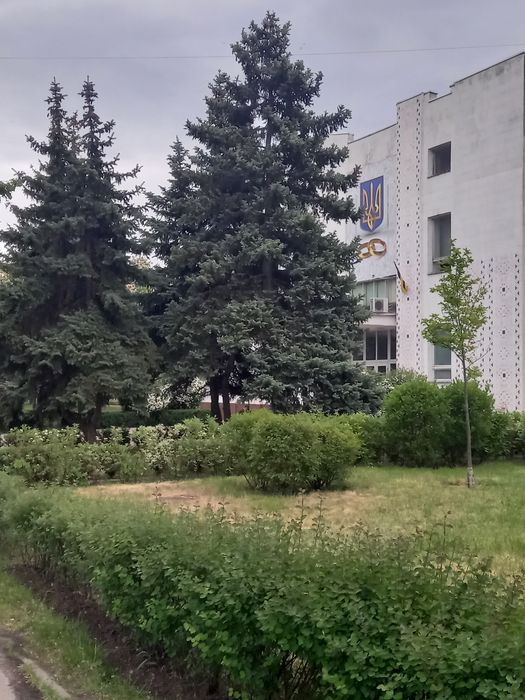Квартира на вул. Новодарницька, 15/1 в Києві, ID 181786, фото №17