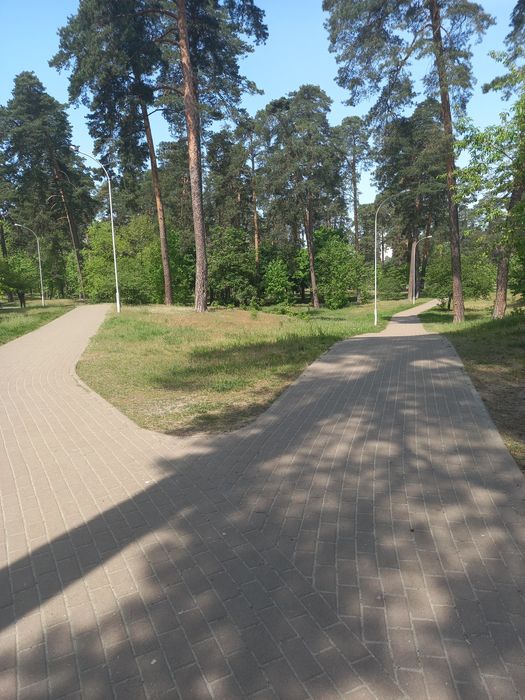 Квартира на вул. Новодарницька, 15/1 в Києві, ID 181786, фото №9