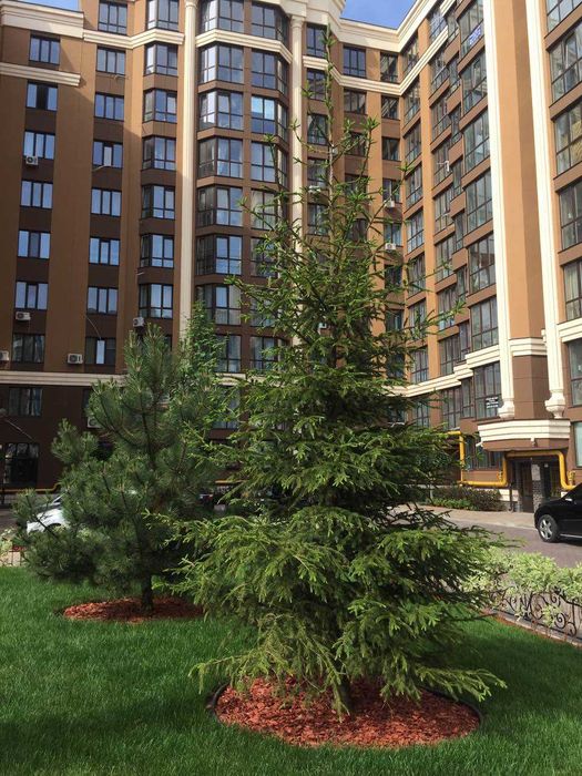 Квартира на ЖК Софія Резиденс в Києві, ID 243117, фото №10