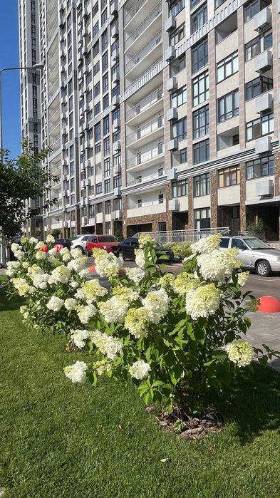 Квартира на вул. Звіренецька в Києві, ID 185981, фото №19
