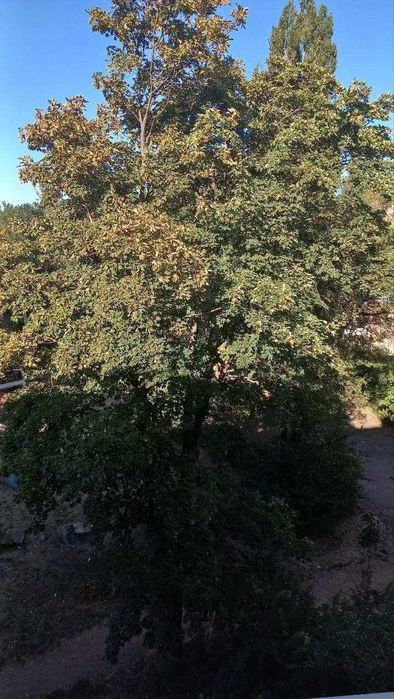Квартира на пл. Артема в Кривому Розі, ID 175535, фото №8
