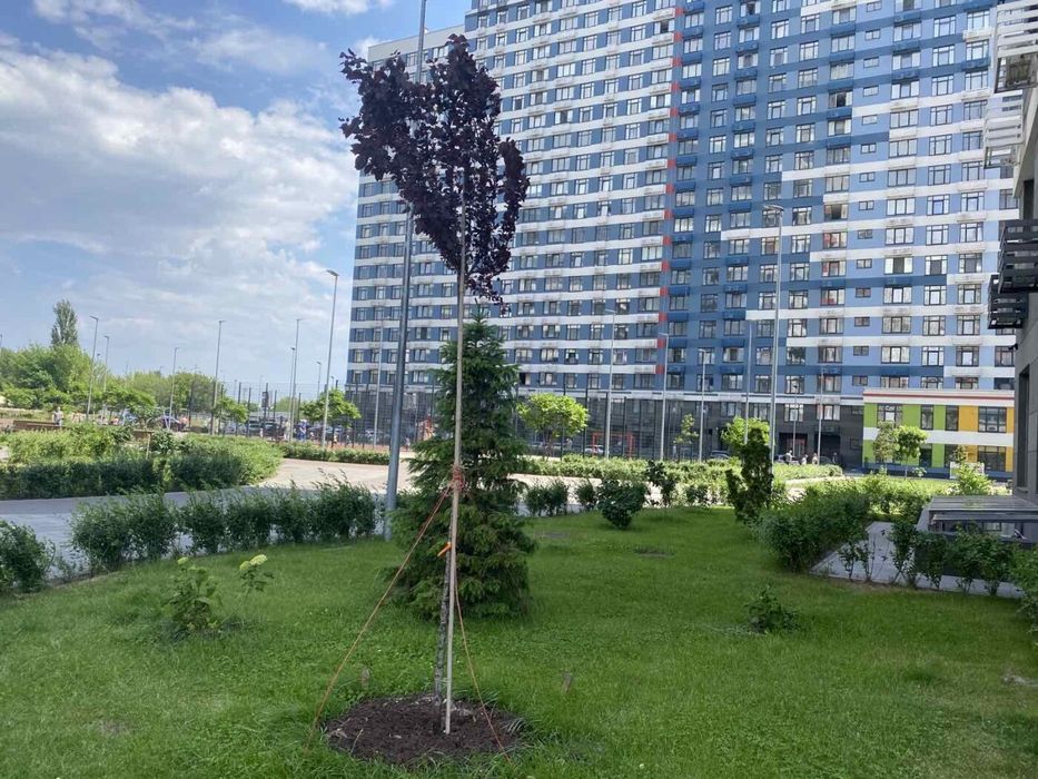 Квартира на вул. Євгена Сверстюка, 6а в Києві, ID 169018, фото №4