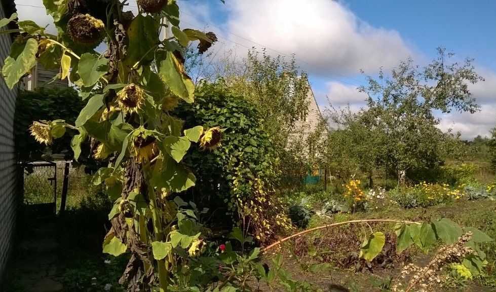 Будинок на Волинська область, Луцьк, ID 423213, фото №4