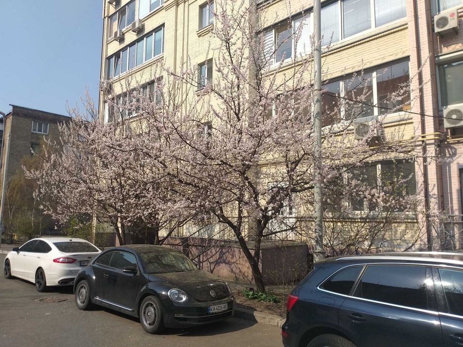 Квартира на вул. Юрківська, 28 в Києві, ID 164992, фото №18