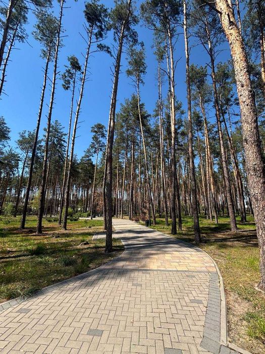 Квартира на ЖК Соборний в Києві, ID 312940, фото №13